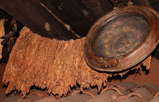 Restorant Piceri Shkodra Getränk