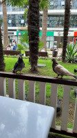 Столовая Патиссон outside