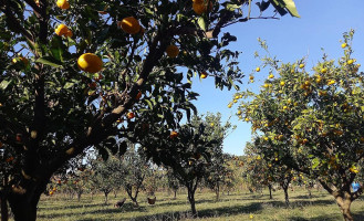 Agroturizem Harapi outside