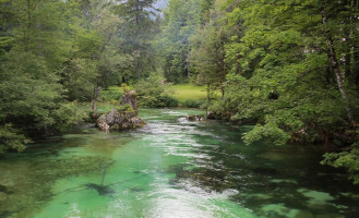 Camp Bohinj outside