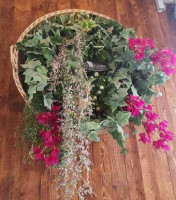 Stoartos Coffee Bakery drink