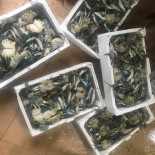 Restorant Peshku Tomorr Malko Getränk