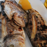 Restorant Peshku Tomorr Malko Essen