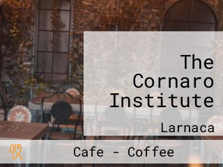 The Cornaro Institute