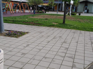 Rođino Kafanče